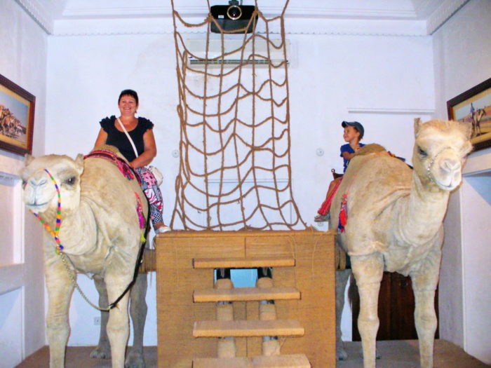 Музей верблюда (Camel Museum)